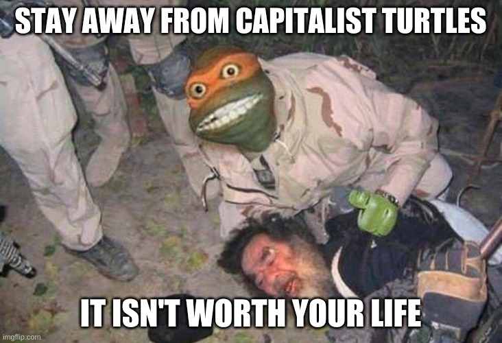 if this makes you laugh you have to upvote. | STAY AWAY FROM CAPITALIST TURTLES; IT ISN'T WORTH YOUR LIFE | image tagged in teenage muntant ninja turtle muging a homeless man | made w/ Imgflip meme maker