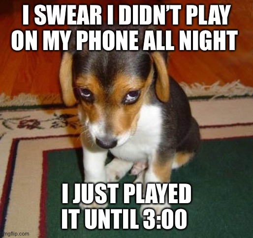 Guilty Doggo | I SWEAR I DIDN’T PLAY ON MY PHONE ALL NIGHT; I JUST PLAYED IT UNTIL 3:00 | image tagged in guilty doggo | made w/ Imgflip meme maker