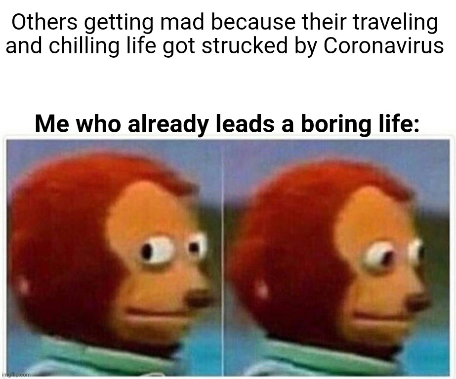 Monkey Puppet Meme | Others getting mad because their traveling and chilling life got strucked by Coronavirus; Me who already leads a boring life: | image tagged in memes,monkey puppet | made w/ Imgflip meme maker