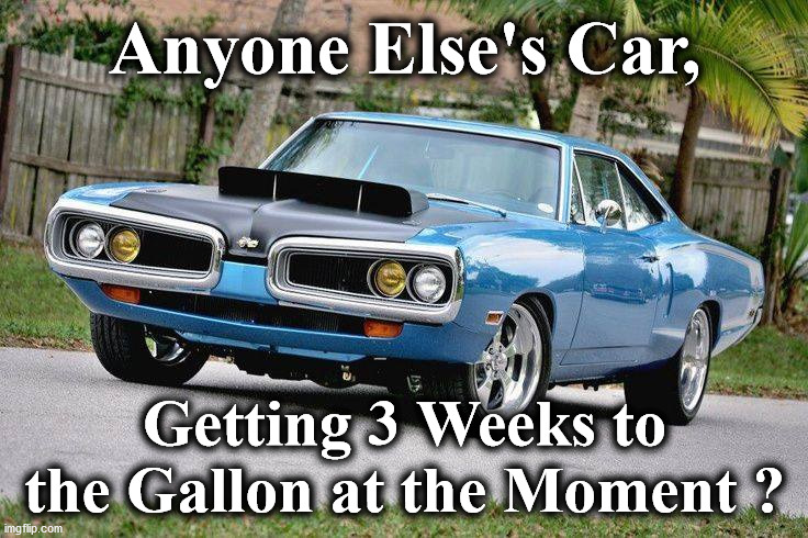 caar | Anyone Else's Car, Getting 3 Weeks to the Gallon at the Moment ? | image tagged in caar | made w/ Imgflip meme maker