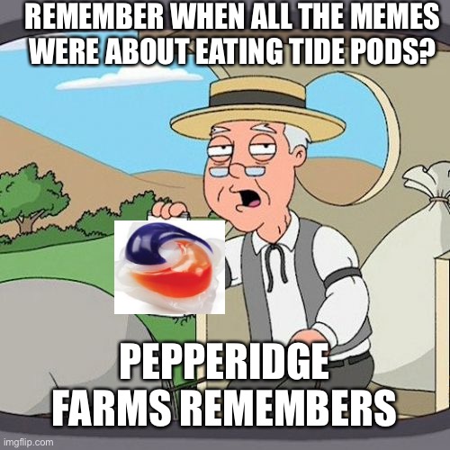 Pepperidge Farm Remembers | REMEMBER WHEN ALL THE MEMES WERE ABOUT EATING TIDE PODS? PEPPERIDGE FARMS REMEMBERS | image tagged in memes,pepperidge farm remembers | made w/ Imgflip meme maker