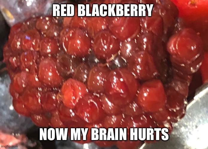Red blackberry | RED BLACKBERRY; NOW MY BRAIN HURTS | image tagged in ill just wait here | made w/ Imgflip meme maker