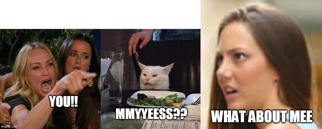 YOU!! MMYYEESS?? WHAT ABOUT MEE | image tagged in memes,woman yelling at cat | made w/ Imgflip meme maker