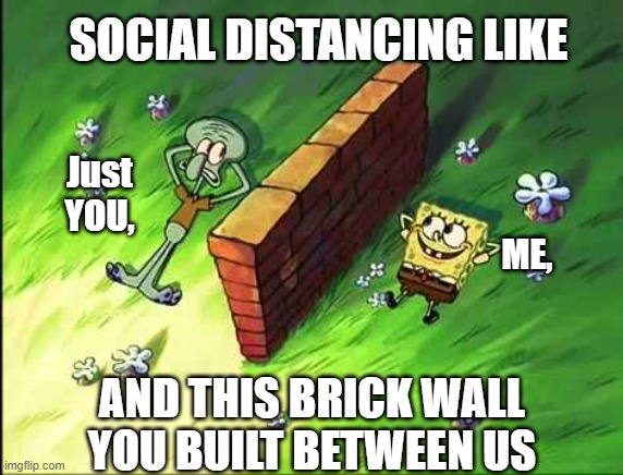 Social Distancing | SOCIAL DISTANCING LIKE; Just YOU, ME, AND THIS BRICK WALL YOU BUILT BETWEEN US | image tagged in covid-19,social distancing,coronavirus | made w/ Imgflip meme maker
