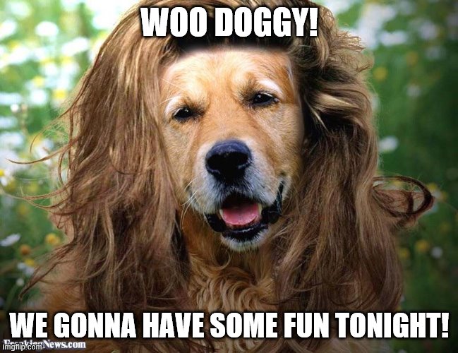let my hair down | WOO DOGGY! WE GONNA HAVE SOME FUN TONIGHT! | image tagged in party | made w/ Imgflip meme maker