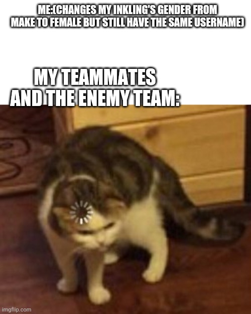 Loading cat | ME:(CHANGES MY INKLING'S GENDER FROM MAKE TO FEMALE BUT STILL HAVE THE SAME USERNAME); MY TEAMMATES AND THE ENEMY TEAM: | image tagged in loading cat | made w/ Imgflip meme maker