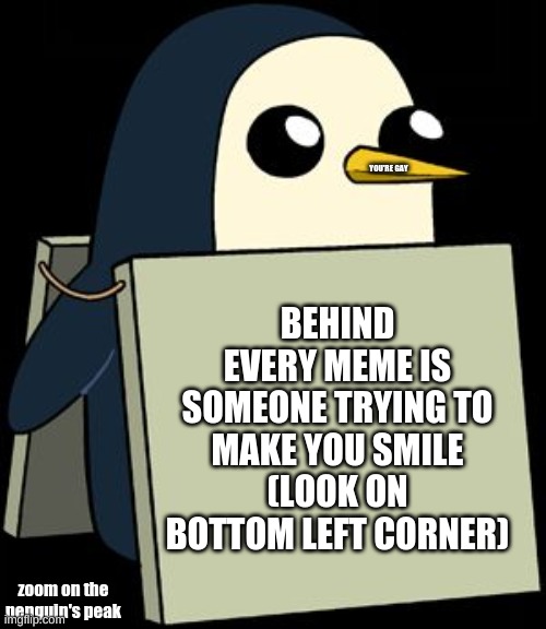gunter penguin blank sign | YOU'RE GAY; BEHIND EVERY MEME IS SOMEONE TRYING TO MAKE YOU SMILE
(LOOK ON BOTTOM LEFT CORNER); zoom on the penguin's peak | image tagged in gunter penguin blank sign | made w/ Imgflip meme maker