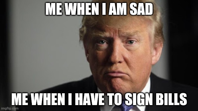 Sad trump | ME WHEN I AM SAD; ME WHEN I HAVE TO SIGN BILLS | image tagged in sad trump | made w/ Imgflip meme maker