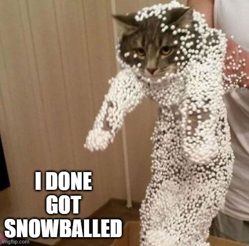 Whitey White White | I DONE GOT SNOWBALLED | image tagged in funny cat | made w/ Imgflip meme maker