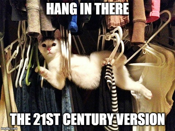 A Modern Version | HANG IN THERE; THE 21ST CENTURY VERSION | image tagged in funny cat | made w/ Imgflip meme maker
