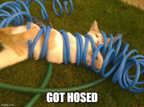 Stuck | GOT HOSED | image tagged in funny cat | made w/ Imgflip meme maker