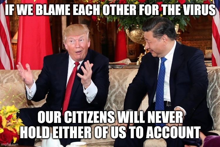 How Nationalism "Works" | IF WE BLAME EACH OTHER FOR THE VIRUS; OUR CITIZENS WILL NEVER HOLD EITHER OF US TO ACCOUNT | image tagged in trump and xi | made w/ Imgflip meme maker