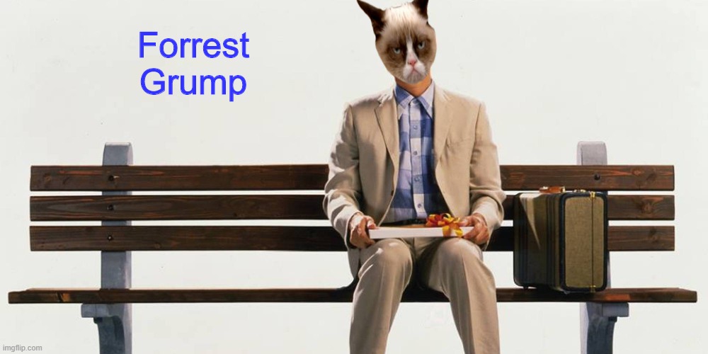 A Classic :) | Forrest Grump | image tagged in memes,forrest gump,grumpy cat,cats | made w/ Imgflip meme maker