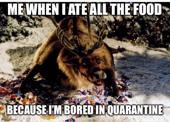 ME WHEN I ATE ALL THE FOOD; BECAUSE I’M BORED IN QUARANTINE | image tagged in quarantine,fat,boredom,snacks,comet,santa clause | made w/ Imgflip meme maker
