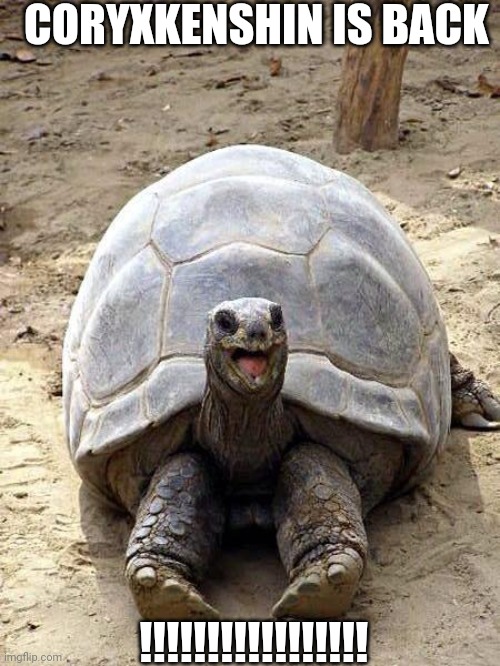 Smiling happy excited tortoise | CORYXKENSHIN IS BACK; !!!!!!!!!!!!!!!!! | image tagged in smiling happy excited tortoise | made w/ Imgflip meme maker