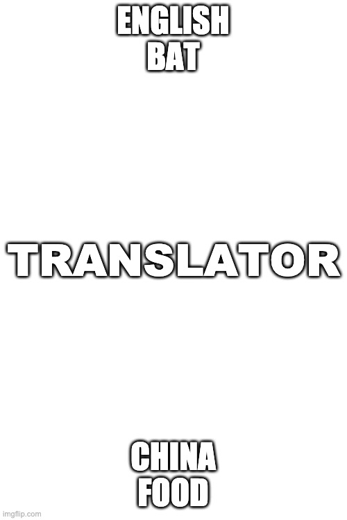 Blank White Template | ENGLISH
BAT; TRANSLATOR; CHINA
FOOD | image tagged in blank white template | made w/ Imgflip meme maker