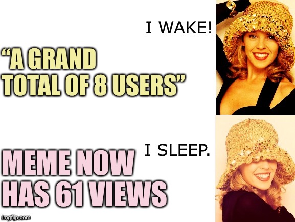 Kylie I wake/I sleep | “A GRAND TOTAL OF 8 USERS” MEME NOW HAS 61 VIEWS | image tagged in kylie i wake/i sleep | made w/ Imgflip meme maker