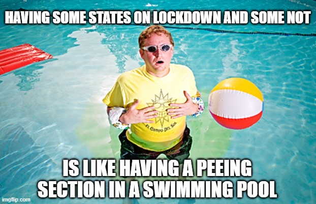 HAVING SOME STATES ON LOCKDOWN AND SOME NOT; IS LIKE HAVING A PEEING SECTION IN A SWIMMING POOL | image tagged in truth,facts | made w/ Imgflip meme maker