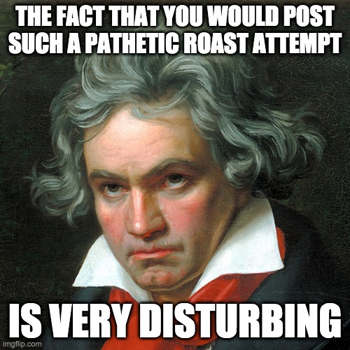 THE FACT THAT YOU WOULD POST SUCH A PATHETIC ROAST ATTEMPT; IS VERY DISTURBING | image tagged in beethoven | made w/ Imgflip meme maker