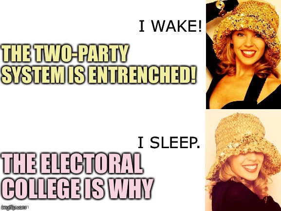 The winner-take-all aspect of the Electoral College dooms all third-party bids for President. | THE TWO-PARTY SYSTEM IS ENTRENCHED! THE ELECTORAL COLLEGE IS WHY | image tagged in kylie i wake/i sleep,third party,electoral college,american politics,presidential race,politics | made w/ Imgflip meme maker