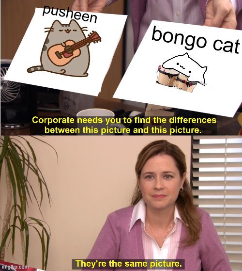 They're The Same Picture Meme | pusheen; bongo cat | image tagged in memes,they're the same picture | made w/ Imgflip meme maker