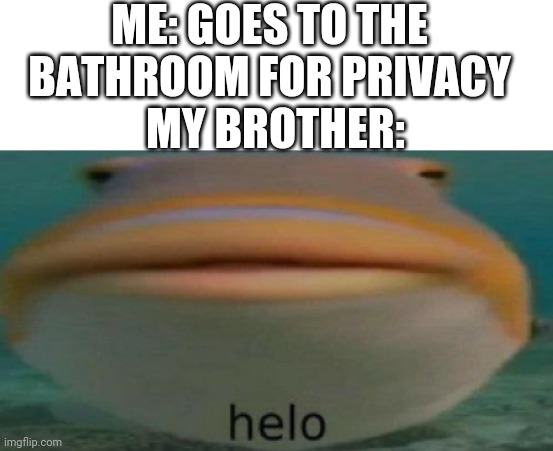 HELO | ME: GOES TO THE BATHROOM FOR PRIVACY; MY BROTHER: | image tagged in helo,fish,siblings,funny,memes,privacy | made w/ Imgflip meme maker