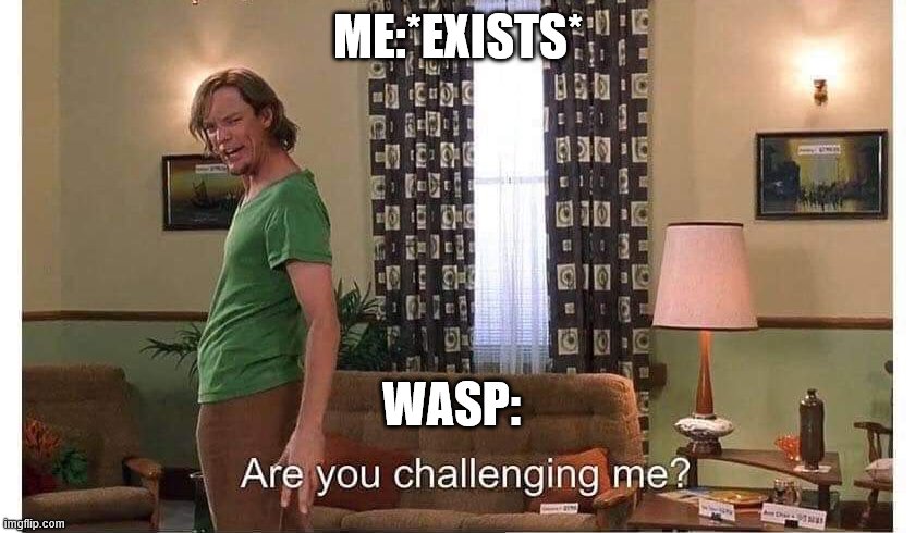 Are you challenging me? | ME:*EXISTS*; WASP: | image tagged in are you challenging me | made w/ Imgflip meme maker