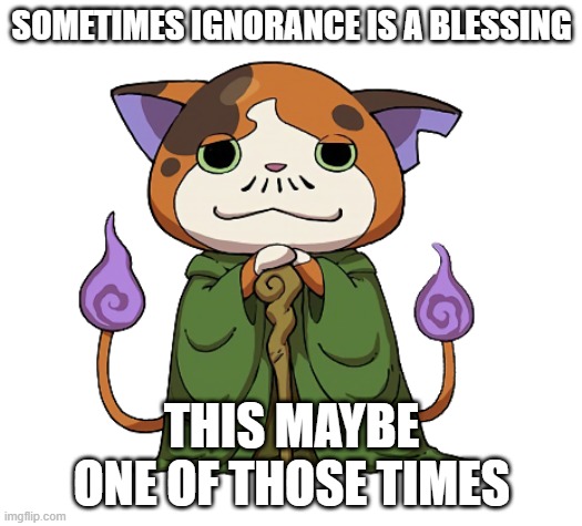Nyada | SOMETIMES IGNORANCE IS A BLESSING THIS MAYBE ONE OF THOSE TIMES | image tagged in nyada | made w/ Imgflip meme maker