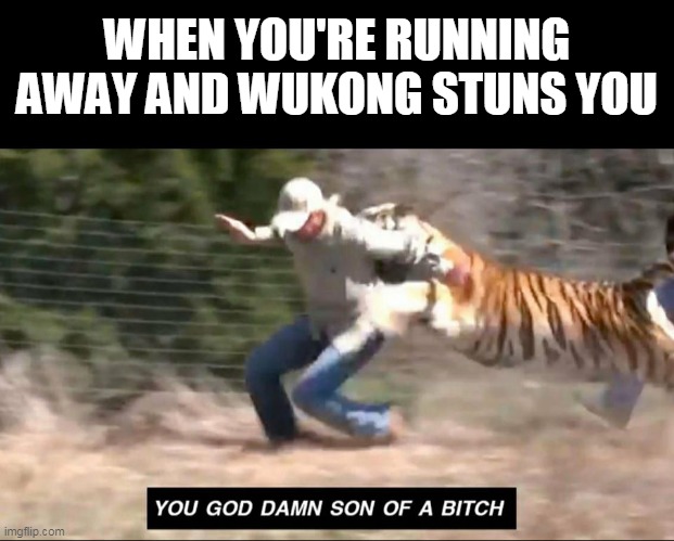SMITE Tiger King | WHEN YOU'RE RUNNING AWAY AND WUKONG STUNS YOU | image tagged in smite,funny,memes,tiger king | made w/ Imgflip meme maker