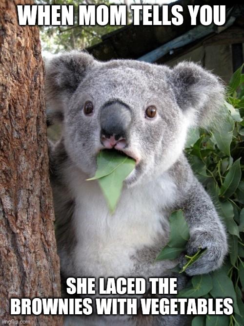 Surprised Koala Meme | WHEN MOM TELLS YOU; SHE LACED THE BROWNIES WITH VEGETABLES | image tagged in memes,surprised koala,brownies,vegetables | made w/ Imgflip meme maker