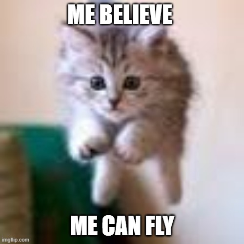 Fly cat meme | ME BELIEVE; ME CAN FLY | image tagged in kitty cat | made w/ Imgflip meme maker