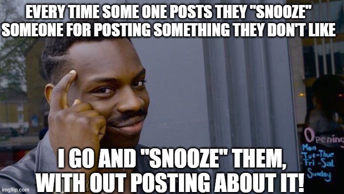 Roll Safe Think About It | EVERY TIME SOME ONE POSTS THEY "SNOOZE" SOMEONE FOR POSTING SOMETHING THEY DON'T LIKE; I GO AND "SNOOZE" THEM, WITH OUT POSTING ABOUT IT! | image tagged in memes,roll safe think about it | made w/ Imgflip meme maker