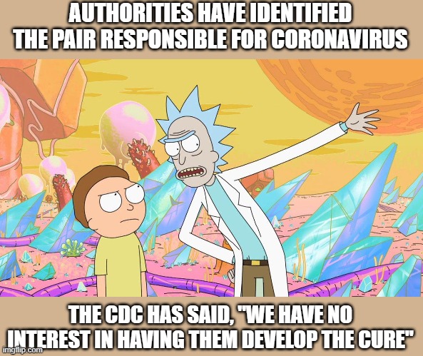 Rick and Morty |  AUTHORITIES HAVE IDENTIFIED THE PAIR RESPONSIBLE FOR CORONAVIRUS; THE CDC HAS SAID, "WE HAVE NO INTEREST IN HAVING THEM DEVELOP THE CURE" | image tagged in rick and morty | made w/ Imgflip meme maker