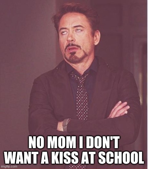 Face You Make Robert Downey Jr | NO MOM I DON'T WANT A KISS AT SCHOOL | image tagged in memes,face you make robert downey jr | made w/ Imgflip meme maker