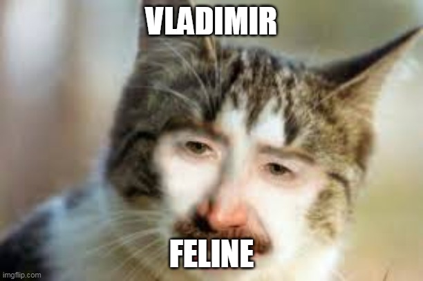 VLADIMIR; FELINE | image tagged in cursed | made w/ Imgflip meme maker