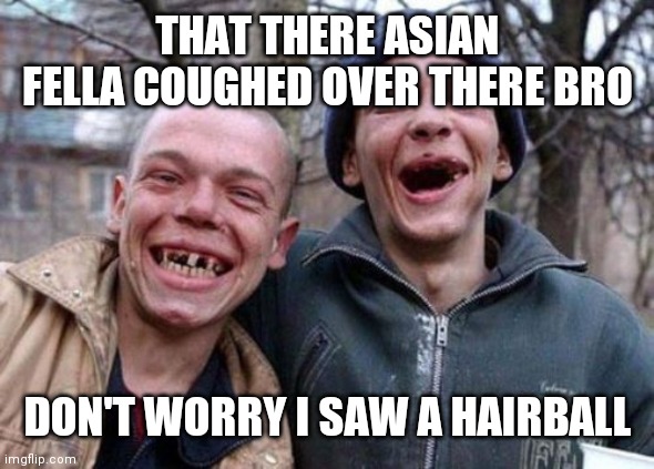 Ugly Twins Meme | THAT THERE ASIAN FELLA COUGHED OVER THERE BRO; DON'T WORRY I SAW A HAIRBALL | image tagged in memes,ugly twins | made w/ Imgflip meme maker