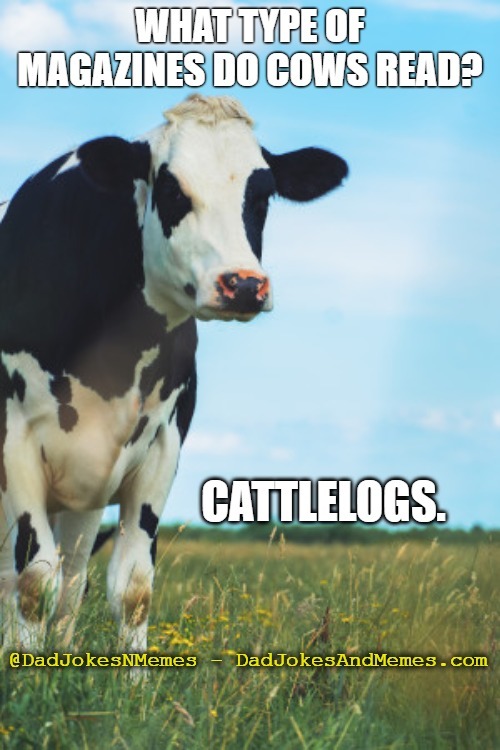 This joke behooves retelling. :) | image tagged in dad joke,joke,cows,humor | made w/ Imgflip meme maker