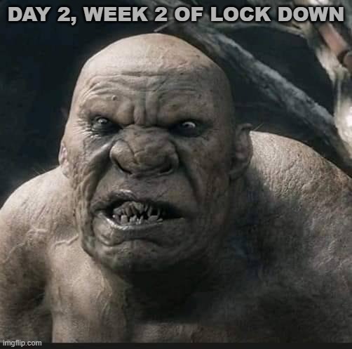 Lock down | DAY 2, WEEK 2 OF LOCK DOWN | image tagged in lock down | made w/ Imgflip meme maker