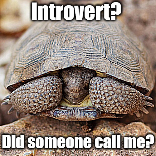 Introvert? Did someone call me? | made w/ Imgflip meme maker