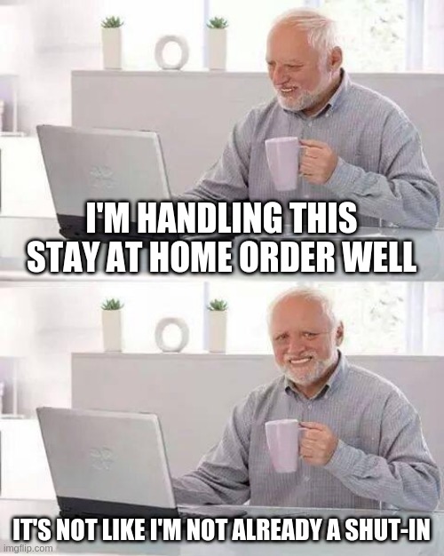 Hide the Pain Harold Meme | I'M HANDLING THIS STAY AT HOME ORDER WELL; IT'S NOT LIKE I'M NOT ALREADY A SHUT-IN | image tagged in memes,hide the pain harold | made w/ Imgflip meme maker