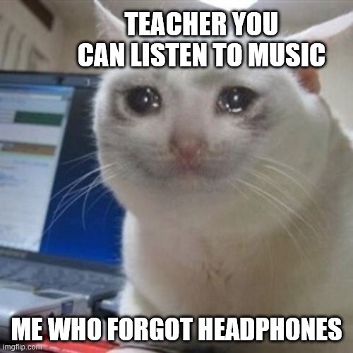 Crying cat | TEACHER YOU CAN LISTEN TO MUSIC; ME WHO FORGOT HEADPHONES | image tagged in crying cat | made w/ Imgflip meme maker