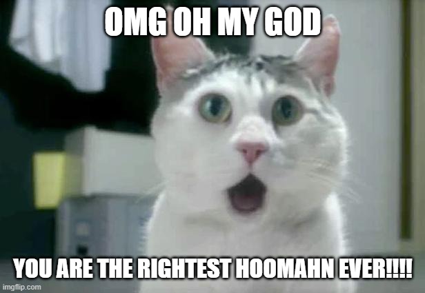 OMG Cat Meme | OMG OH MY GOD YOU ARE THE RIGHTEST HOOMAHN EVER!!!! | image tagged in memes,omg cat | made w/ Imgflip meme maker