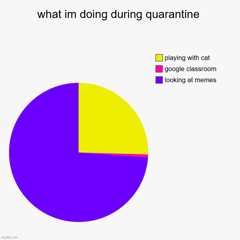 what im doing during quarantine | looking at memes, google classroom, playing with cat | image tagged in charts,pie charts | made w/ Imgflip chart maker