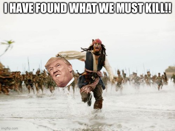 Jack Sparrow Being Chased | I HAVE FOUND WHAT WE MUST KILL!! | image tagged in memes,jack sparrow being chased | made w/ Imgflip meme maker