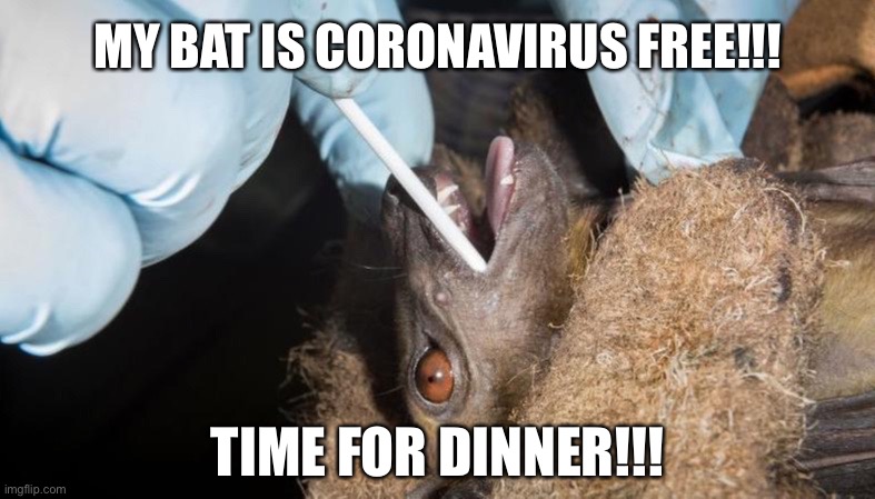 Bat | MY BAT IS CORONAVIRUS FREE!!! TIME FOR DINNER!!! | image tagged in coronavirus,corona virus,dinner,batman,food,soup | made w/ Imgflip meme maker