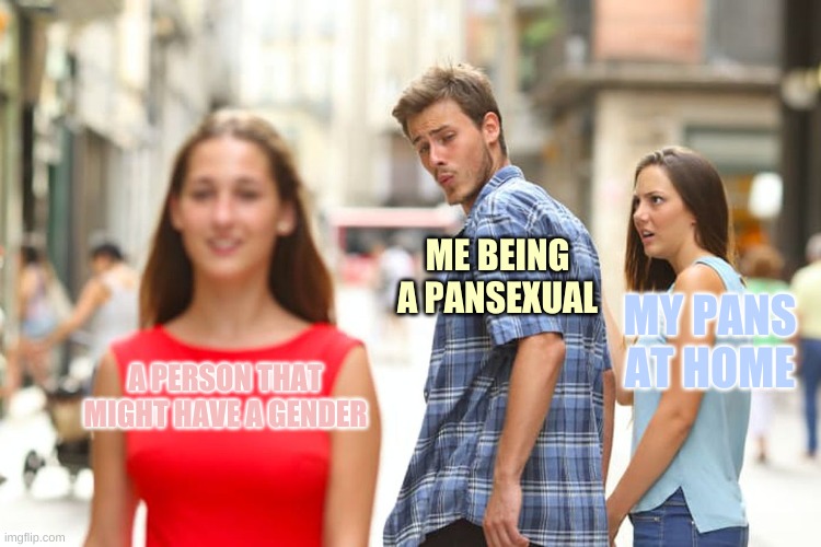Distracted Boyfriend | ME BEING A PANSEXUAL; MY PANS AT HOME; A PERSON THAT MIGHT HAVE A GENDER | image tagged in memes,distracted boyfriend | made w/ Imgflip meme maker