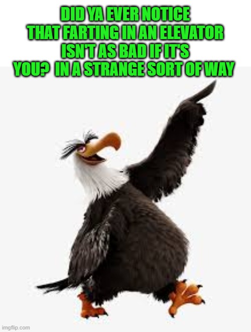 image-tagged-in-angry-birds-eagle-imgflip