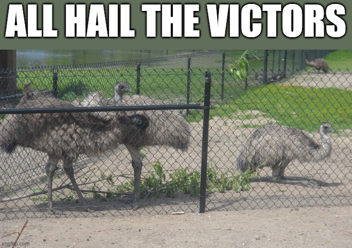 alone | ALL HAIL THE VICTORS | image tagged in alone | made w/ Imgflip meme maker