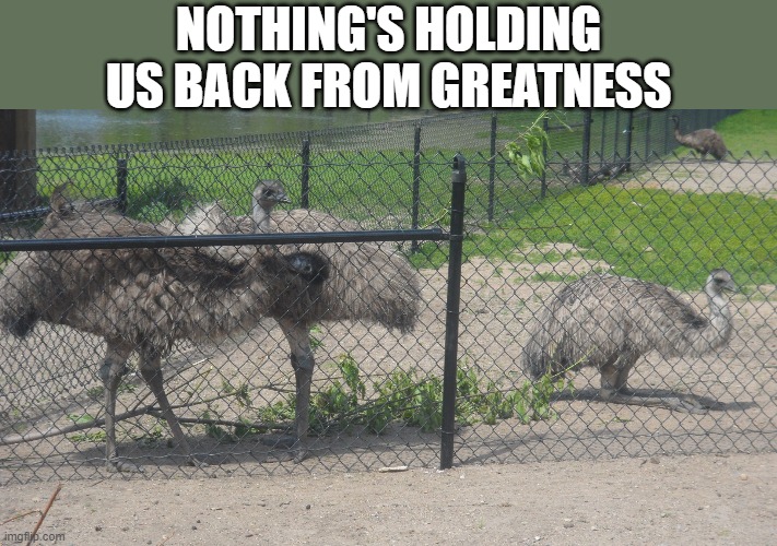 alone | NOTHING'S HOLDING US BACK FROM GREATNESS | image tagged in alone | made w/ Imgflip meme maker