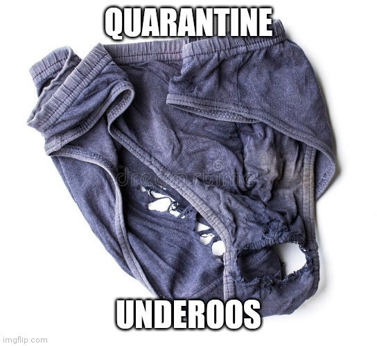 QUARANTINE; UNDEROOS | image tagged in funny,quarantine | made w/ Imgflip meme maker